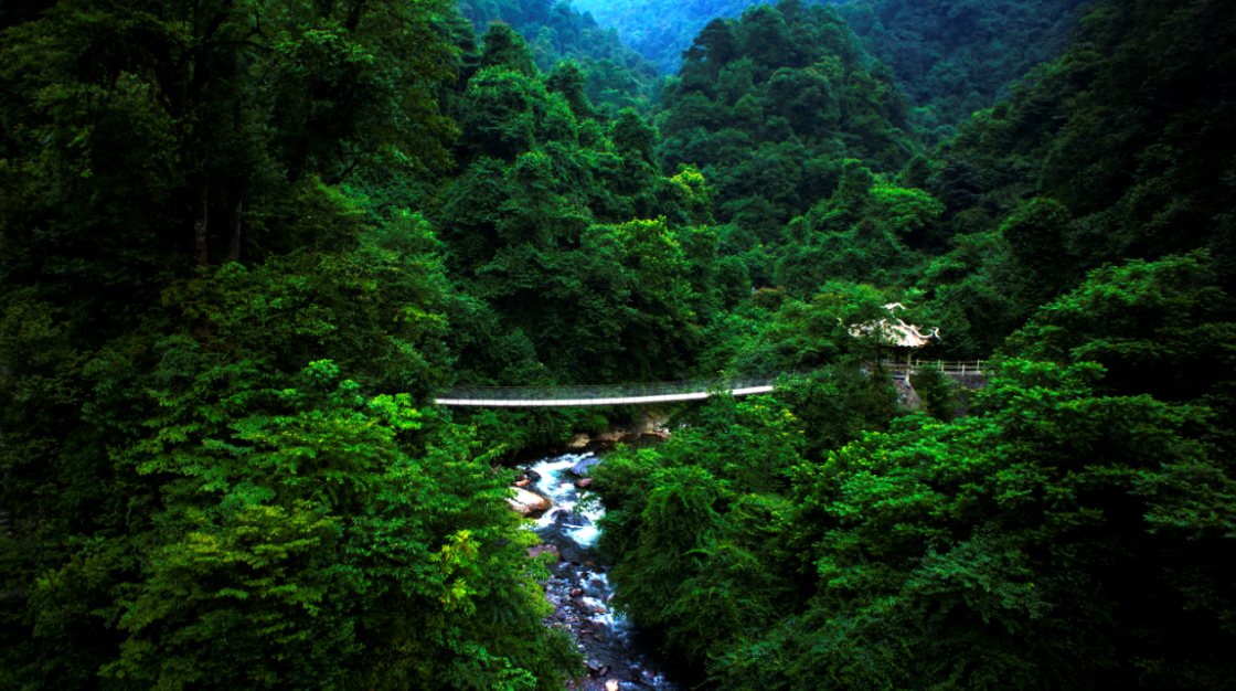 蜂巢岩瀑.png